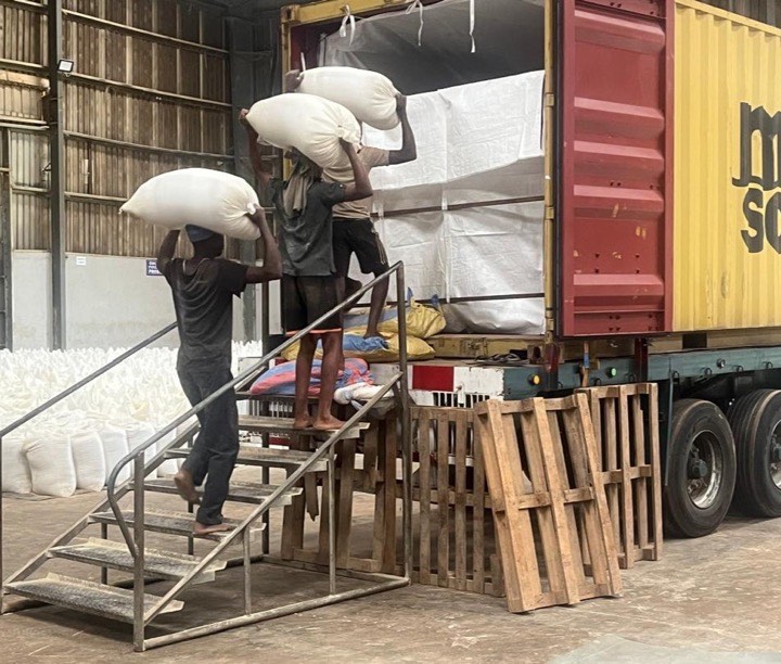 Conditionnement & Export